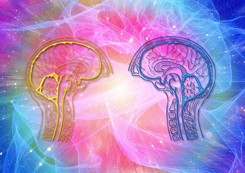 The 10 Best Cognitive Neuroscience Working Memory Network Studies That Changed Our Understanding