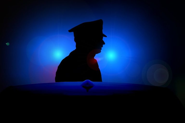 The 10 Best Environmental Law Enforcement Mechanisms