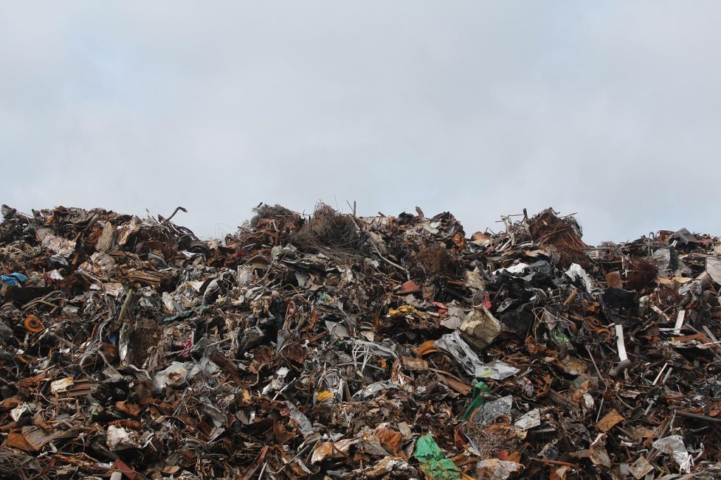 The 10 Best Environmental Toxicology Studies on Endocrine Disruptors