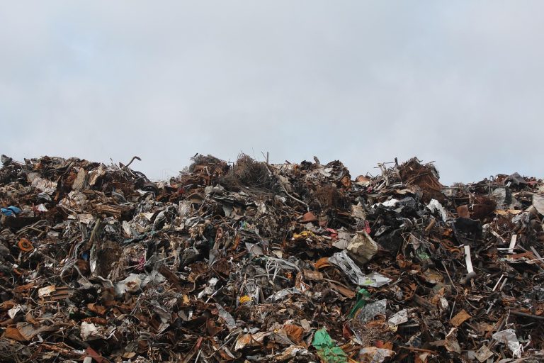 The 10 Best Environmental Toxicology Studies on Endocrine Disruptors