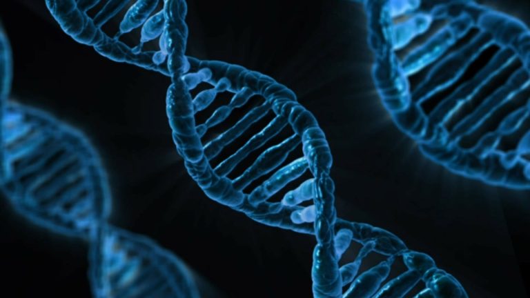 The 10 Best Evolutionary Biology Convergent Evolution Genomic Studies You Need to Know