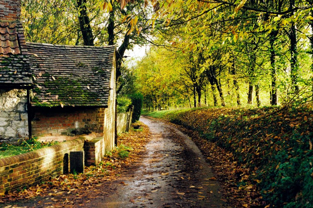 The 10 Best Historic Windmill and Watermill Countryside Routes