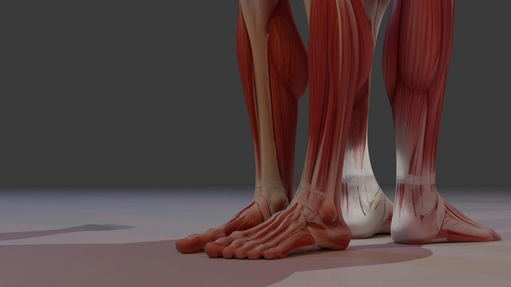 The 10 Best Lower Body Exercises for Knee Injury Prevention