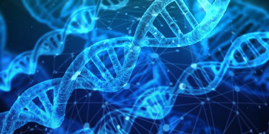 The 10 Best Microbial Genetics and DNA Replication Studies You Need to Know