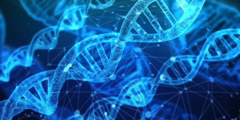 The 10 Best Microbial Genetics and DNA Replication Studies You Need to Know