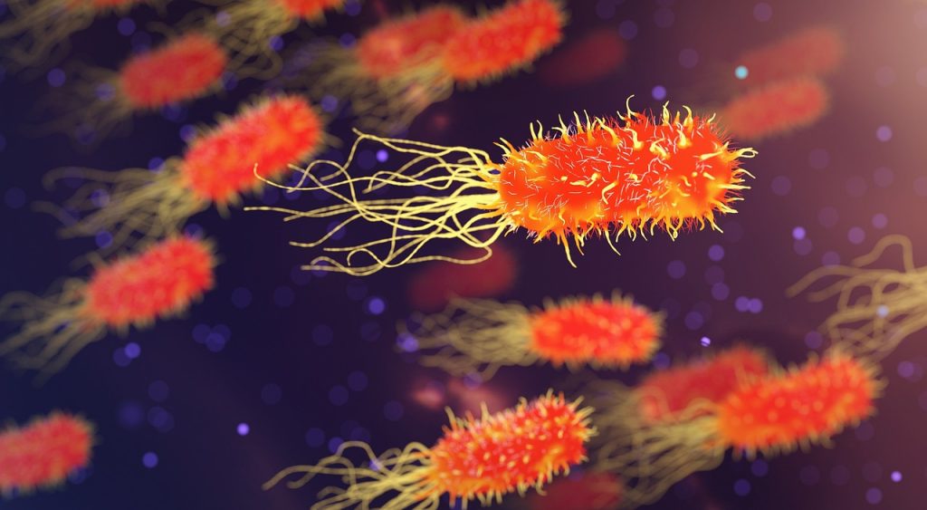 The 10 Best Microbiology Discoveries Involving Beneficial Bacteria