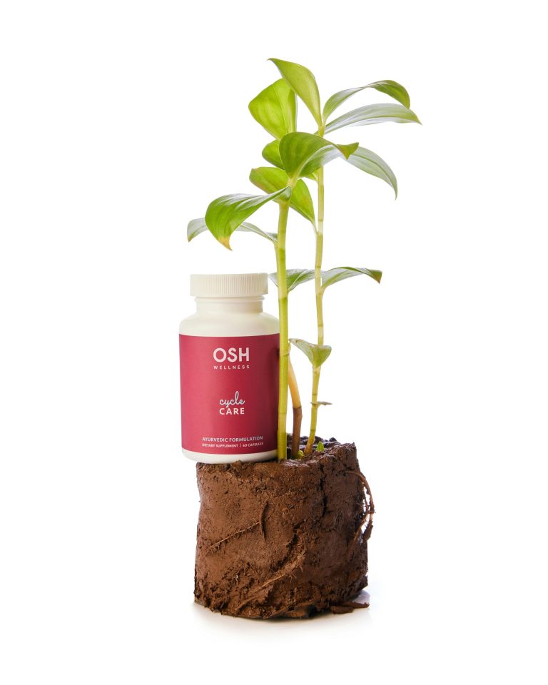 The 10 Best Plant-Based Iron Sources to Prevent Fatigue