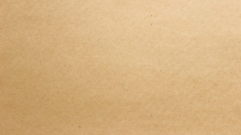 The 10 Best Simple Machine Physics Projects Using Cardboard