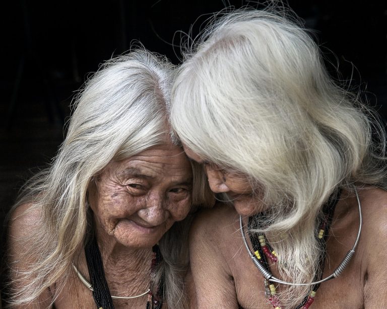 The 10 Best Traditional Herbal Medicine Books From Indigenous Cultures