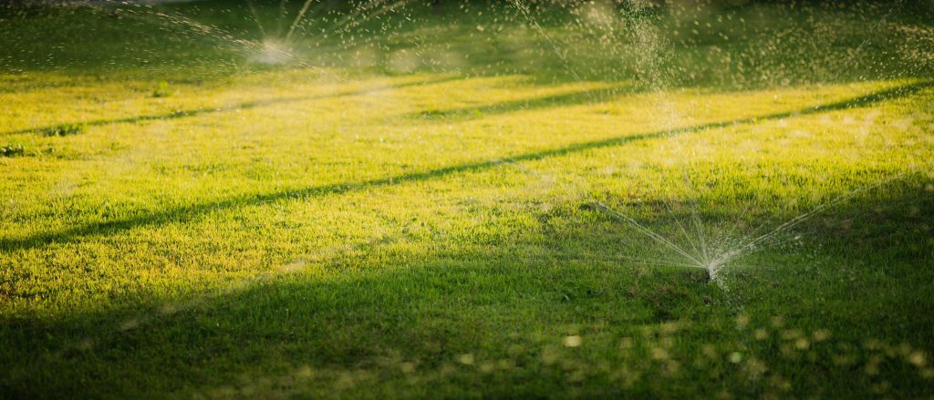 The 8 Best Automated Smart Water Timers for Lawn Care