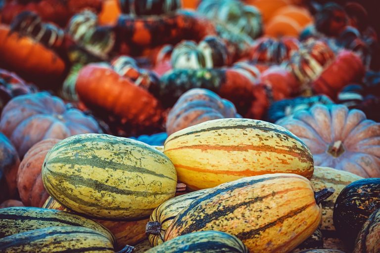 The 8 Best Autumn Harvest Festival Travel Experiences