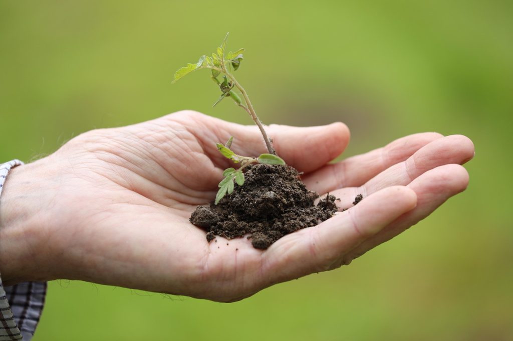 The 8 Best Gardening Science Projects on Plant Growth