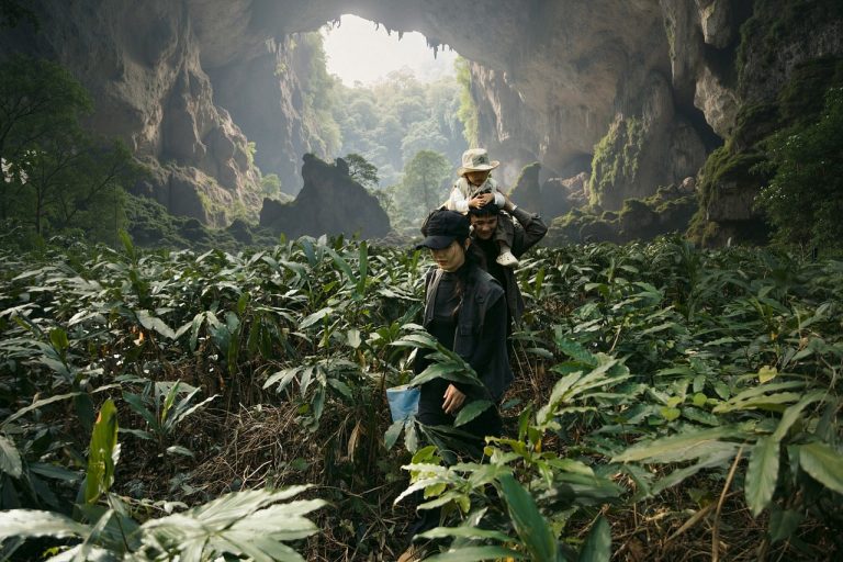 The 8 Best Tropical Jungle Waterfall Hiking Expeditions