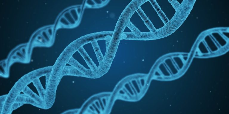 Top 5 Advanced Agricultural Science Plant Genome Editing Studies You Need to Know
