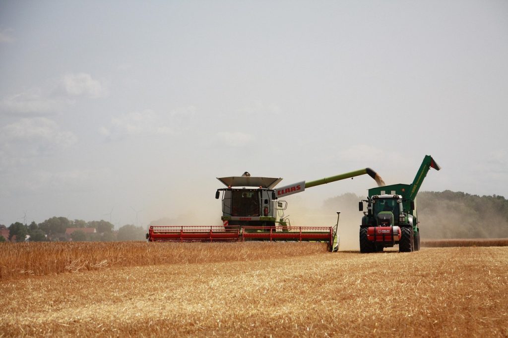 Top 5 Agricultural Science CRISPR Crop Yield Enhancement Trials