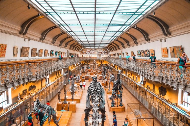 Top 5 Paleontology Discoveries That Rewrote Evolutionary History