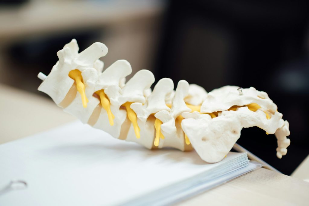 Top 5 Posture Tips for Preventing Stooped Aging Spines