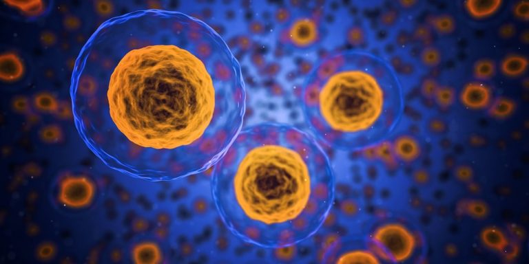 Top 6 Biology Virtual Microscopy Cell Structure Lab Manuals