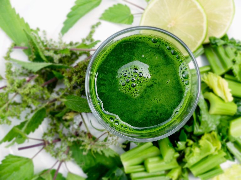 Top 6 Organic Gardening Practices for Growing Fresh Herbs