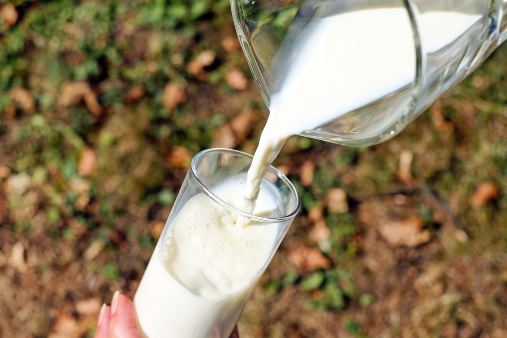 Top 7 Dairy-Free Milk Alternatives Evaluated for Nutrition