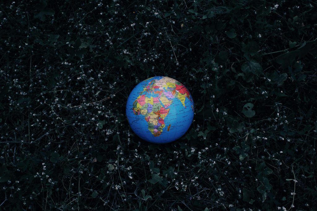 Top 7 Environmental Science Milestones in Global Conservation