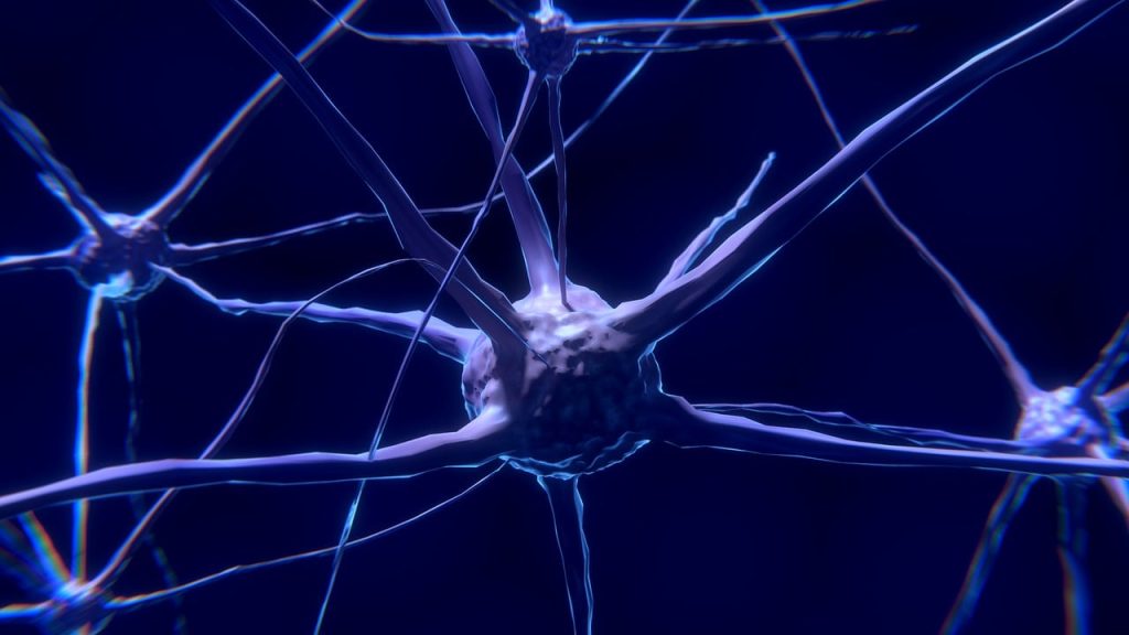 Top 7 Evening Rituals That Signal Your Brain It Is Time for Sleep