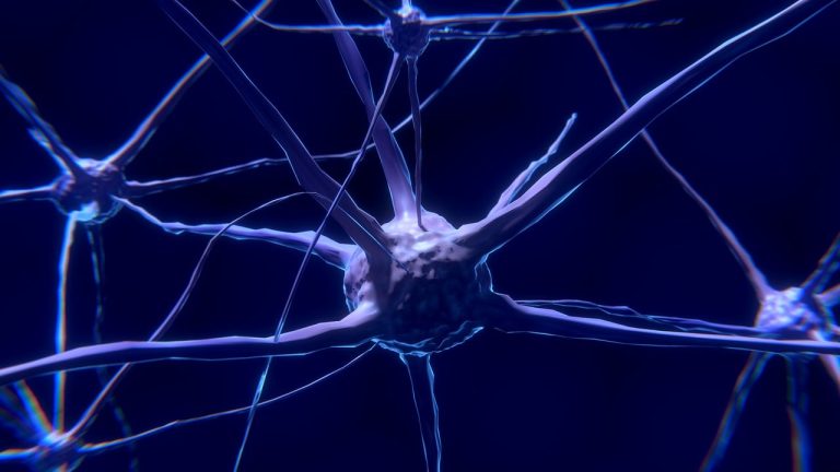 Top 7 Evening Rituals That Signal Your Brain It Is Time for Sleep
