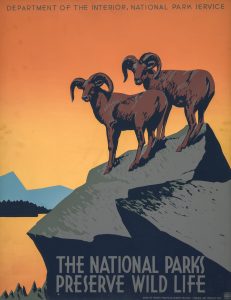 Top 7 National Park Preservation and Eco-Tourism Laws You Should Know About