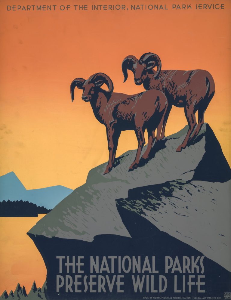 Top 7 National Park Preservation and Eco-Tourism Laws You Should Know About