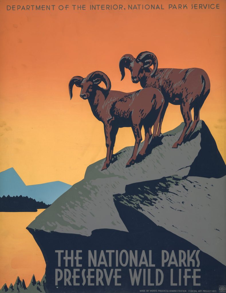 Top 7 National Park Preservation and Eco-Tourism Laws You Should Know About