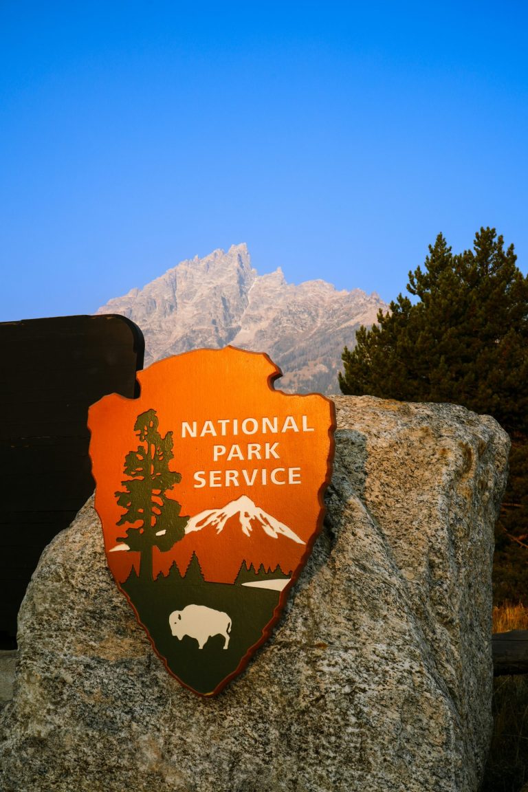 Top 7 National Parks Offering Junior Ranger Programs for Children