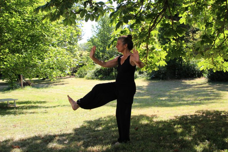 Top 7 Tai Chi Movements for Balance and Inner Peace