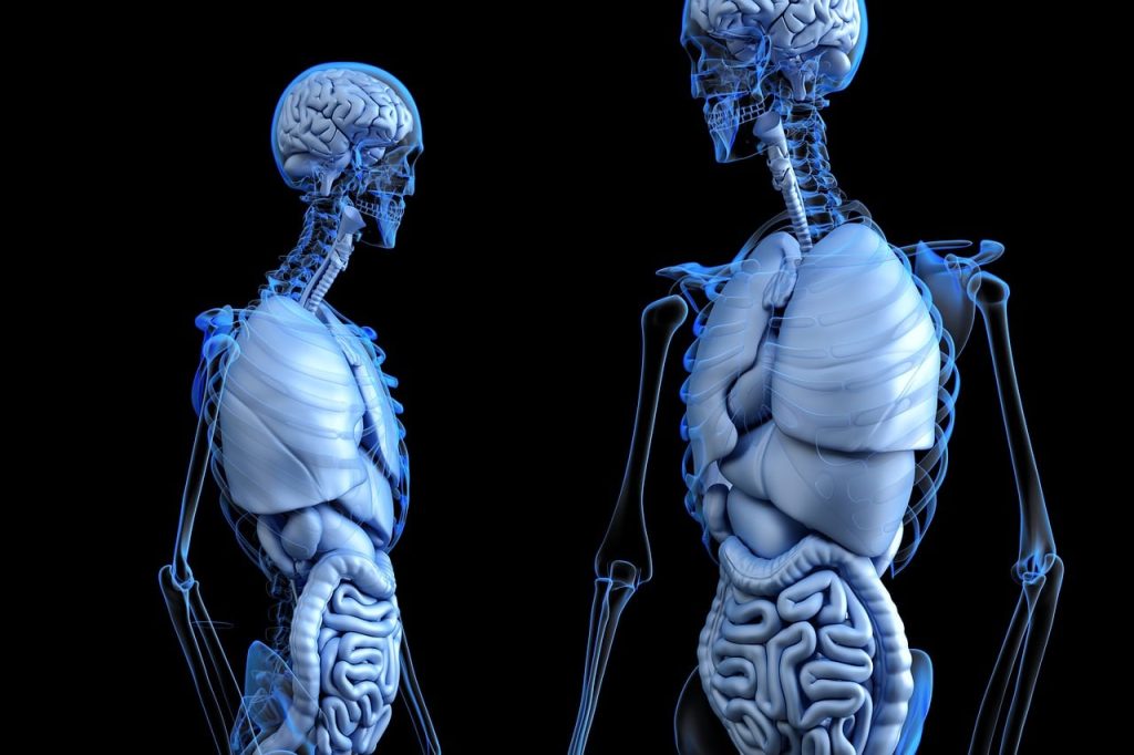 Top 8 Morning Habits for Activating Your Digestive System